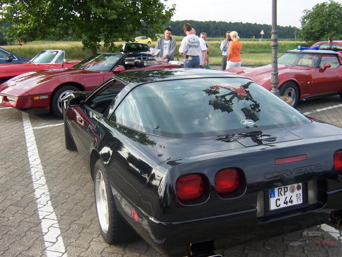 20080728_Bodensee 007.JPG